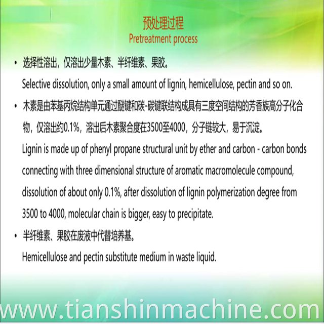 Bagasse Pulp Making System